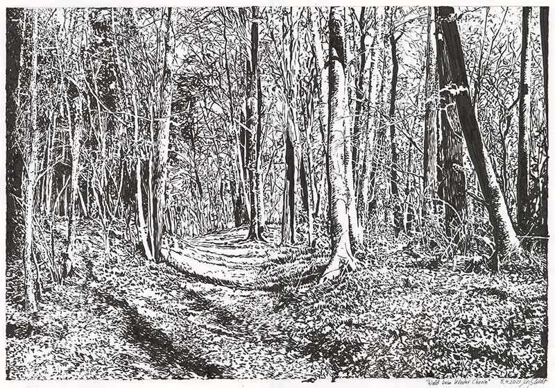 Paintings and Drawings by Manju Panchal: Drawing a forest scene in charcoal  medium
