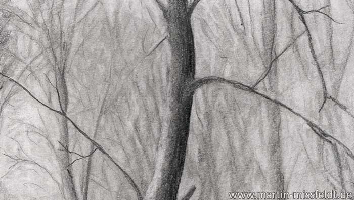 Forest Pencil Drawing Stock Illustrations – 8,542 Forest Pencil Drawing  Stock Illustrations, Vectors & Clipart - Dreamstime