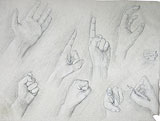 : Study of hands